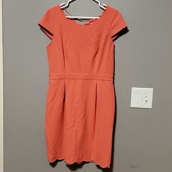 Elle Dresses & Skirts - Elle Coral Scallop Dress